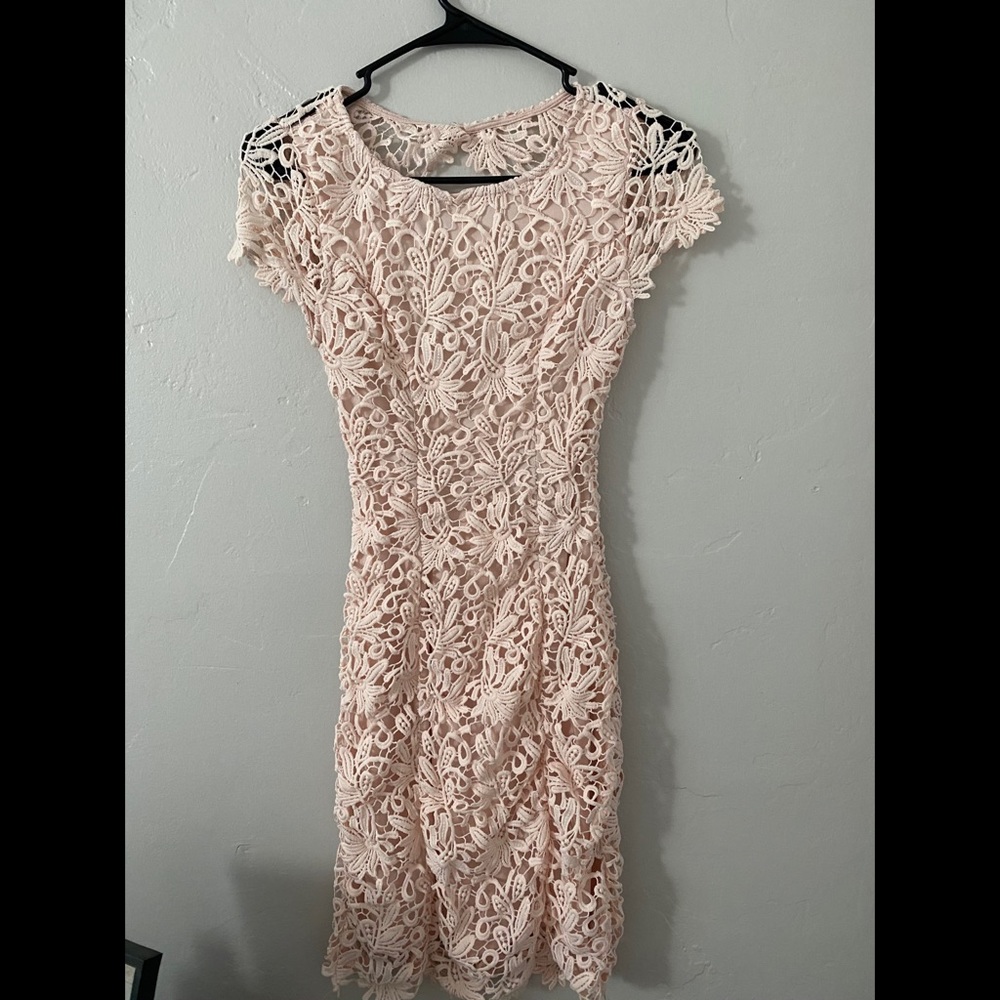 Hidden Talent Backless Blush Lace Dress